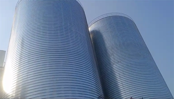 禹州2座混凝土高架卷板仓